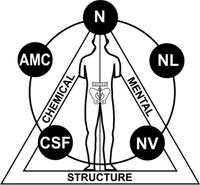 Applied Kinesiology NY Dr. Louis Granirer and the Triad of Health