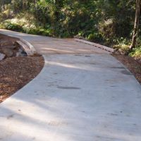 wooden bridge