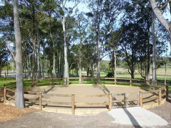 horse area