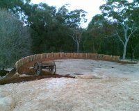 cleared area with trees