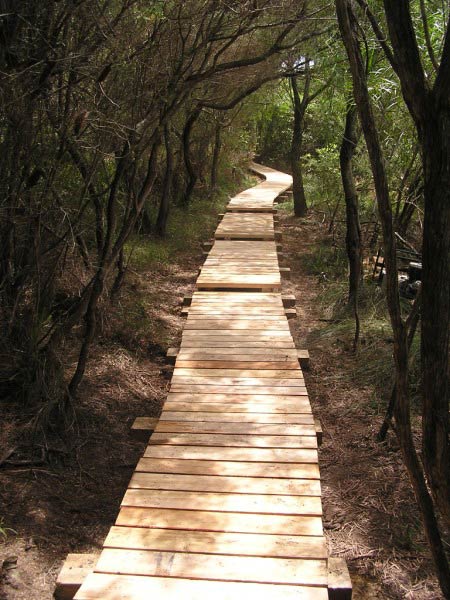 wooden walkway