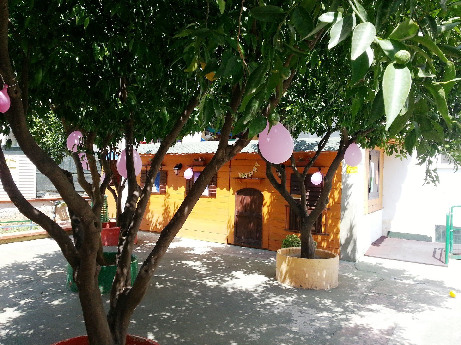 Palloncini rosa sono appesi agli alberi di fronte a un edificio arancione.