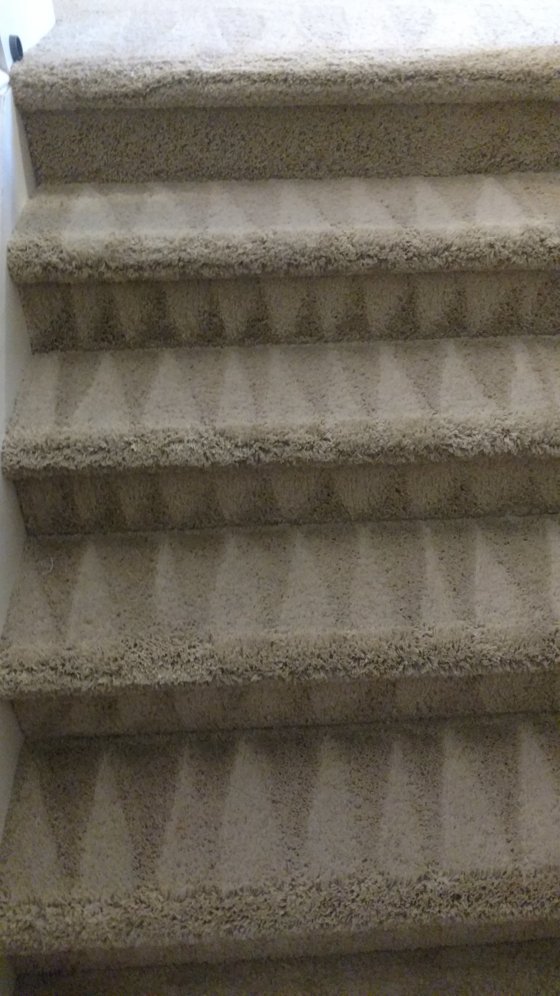 Floor Cleaning