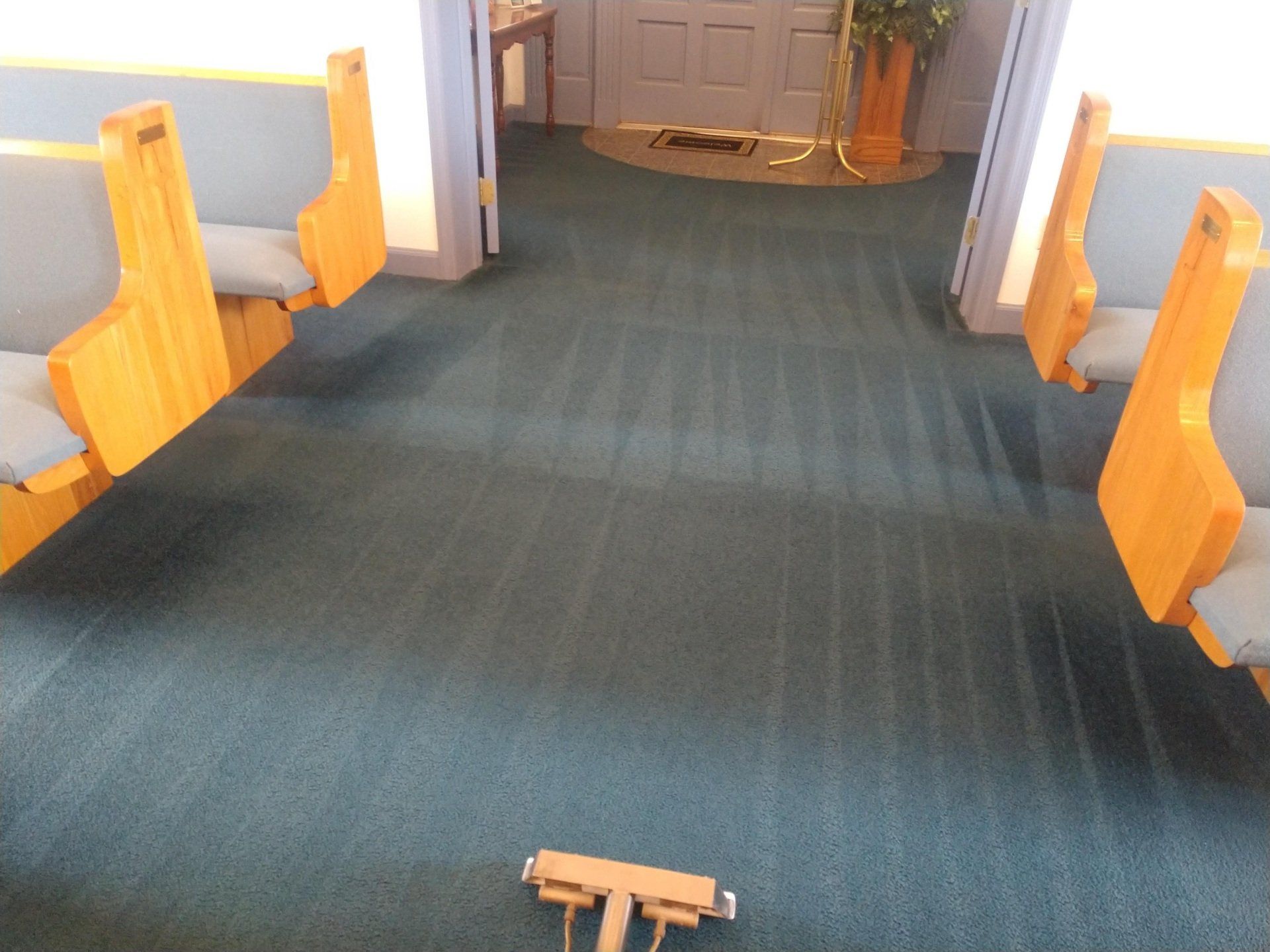 Carpet Cleaning