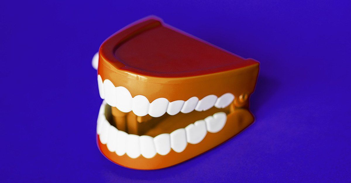 A close up of a fake teeth on a blue background