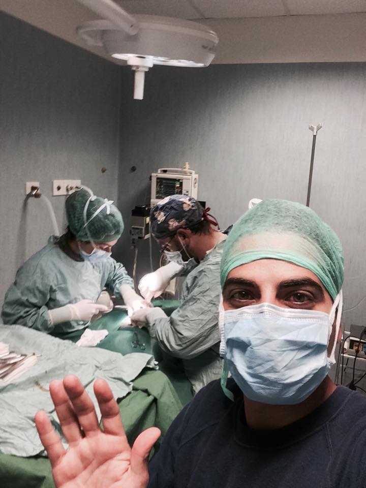 équipe di veterinari