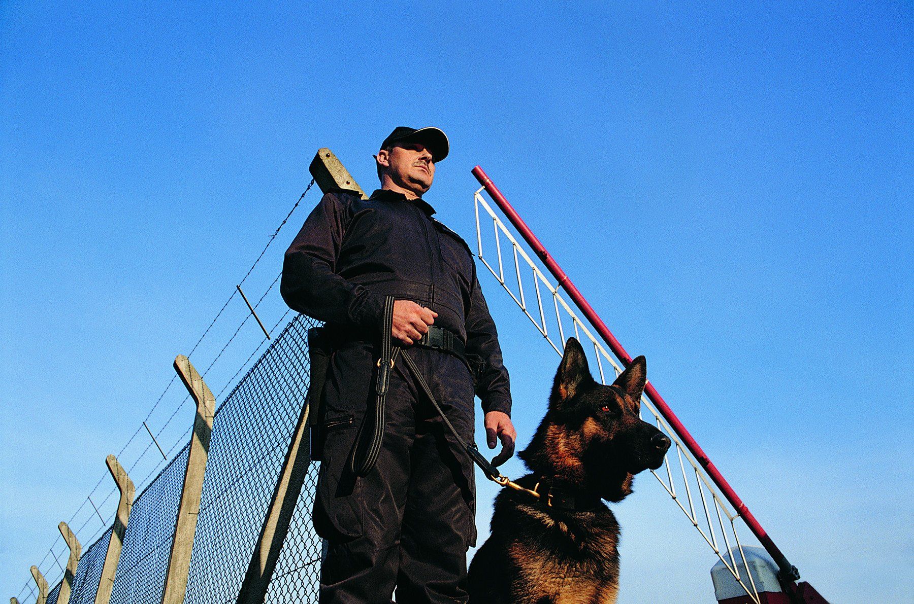 Dog Handling Security