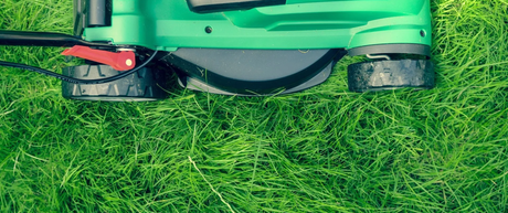 Lawn Care