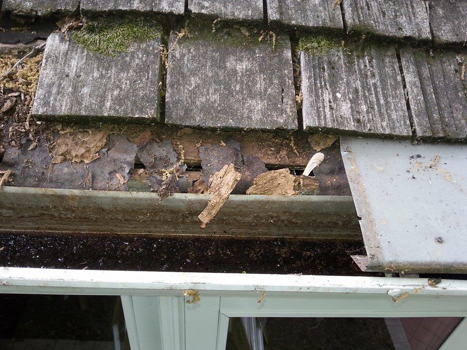Dirty Gutters — Overland Park, KS — Clean Gutter Services Dirty Gutters — Overland Park, KS — Clean Gutter Services