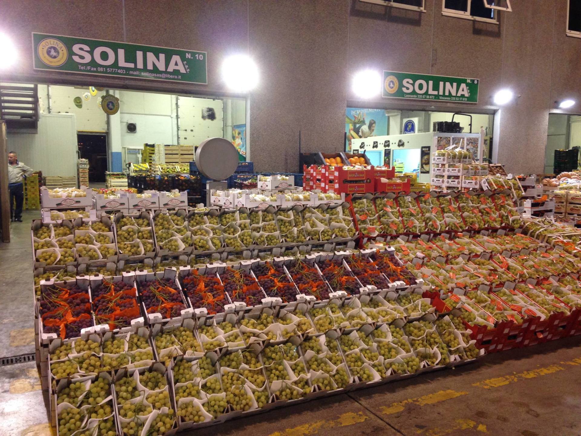 Agrumi e frutta