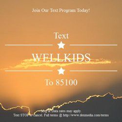 smsMarketingGraphic_type8 smsMarketingGraphic_type8