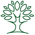Quality Tree Care & Landscaping Quality Tree Care & Landscaping