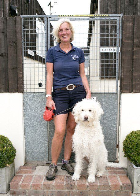 fantastic Kennels