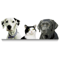 Hillcrest Kennels & Cattery Logo