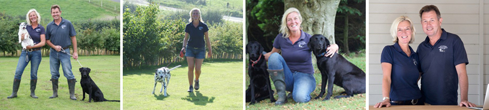 Dog Kennels and boarding