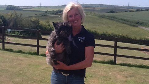 Luxury Boarding Kennels
