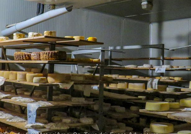 Viaggi enogastronomici 