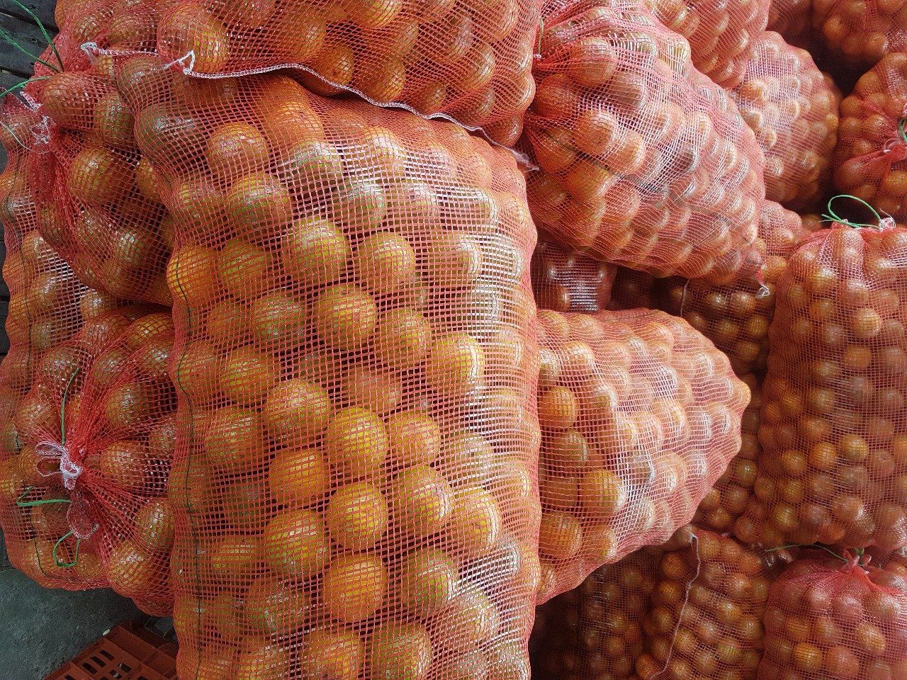 Ciplas SAS - Saco agricola