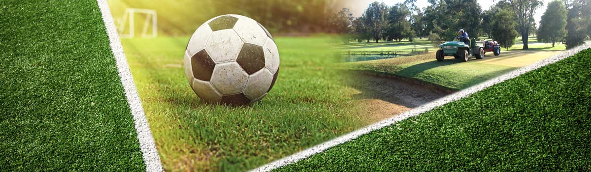 AML-TURF-Turf-Services
