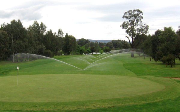 AML-TURF-Turf-Services