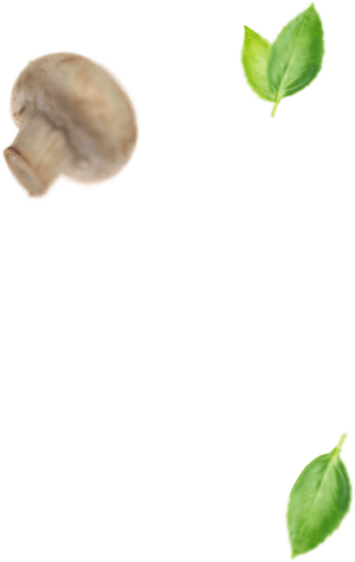 mushroom and leaves