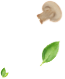 mushroom and leaves