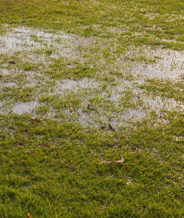 Green Hills Irrigation- Drainage & Dry Well Services | 631.372.5569