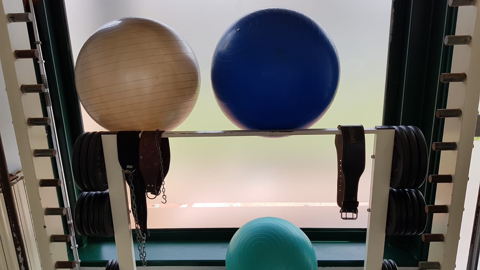 Due uova di struzzo sono posate su uno scaffale accanto a una palla blu