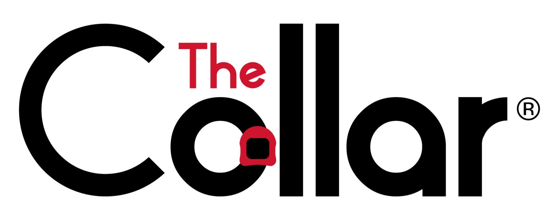 AD HAUS logo design