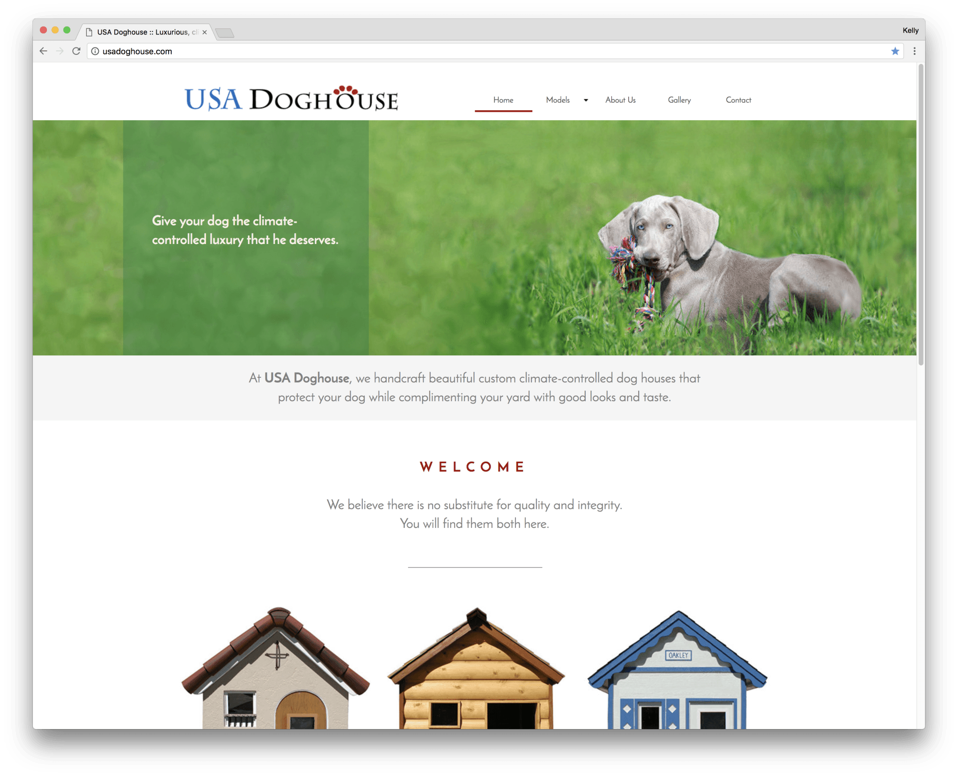 AD HAUS web design