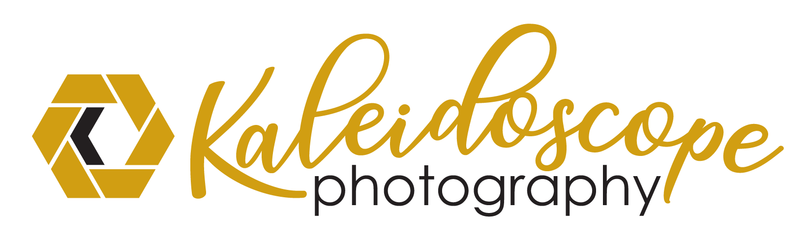 AD HAUS logo design