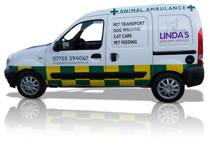 Ambulance Image