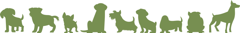Dog Walking & Dog Training in Wakefield