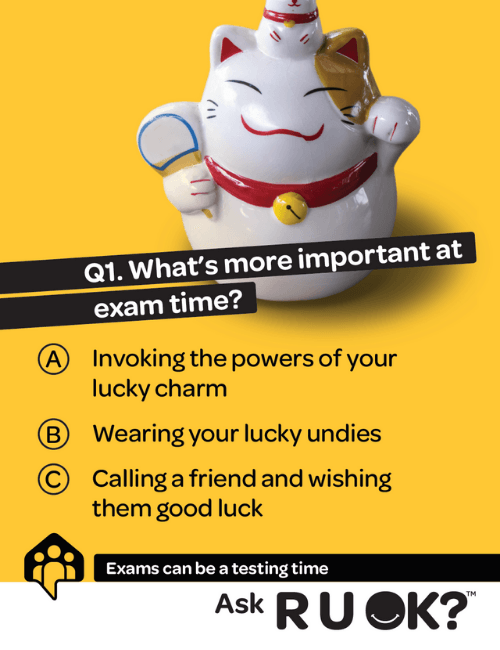 university testing times poster - kitten