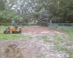 Take Out ─ After Removing A Tree in Chatham, IL Take Out ─ After Removing A Tree in Chatham, IL