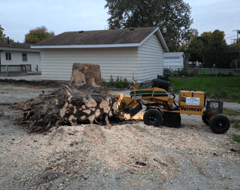 Cutting ─ Before Removing A Cut Tree in Chatham, IL Cutting ─ Before Removing A Cut Tree in Chatham, IL
