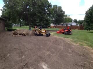 Lawn ─ Tree Removal in Chatham, IL Lawn ─ Tree Removal in Chatham, IL