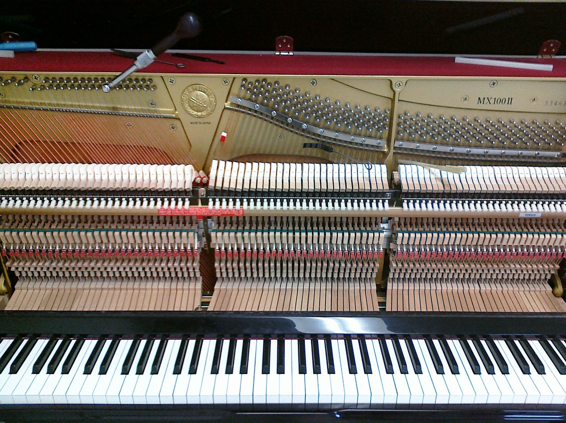 Piano expert