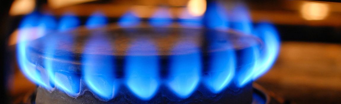 A close-up of a kitchen stove burner with a ring of bright blue flames burning steadily.