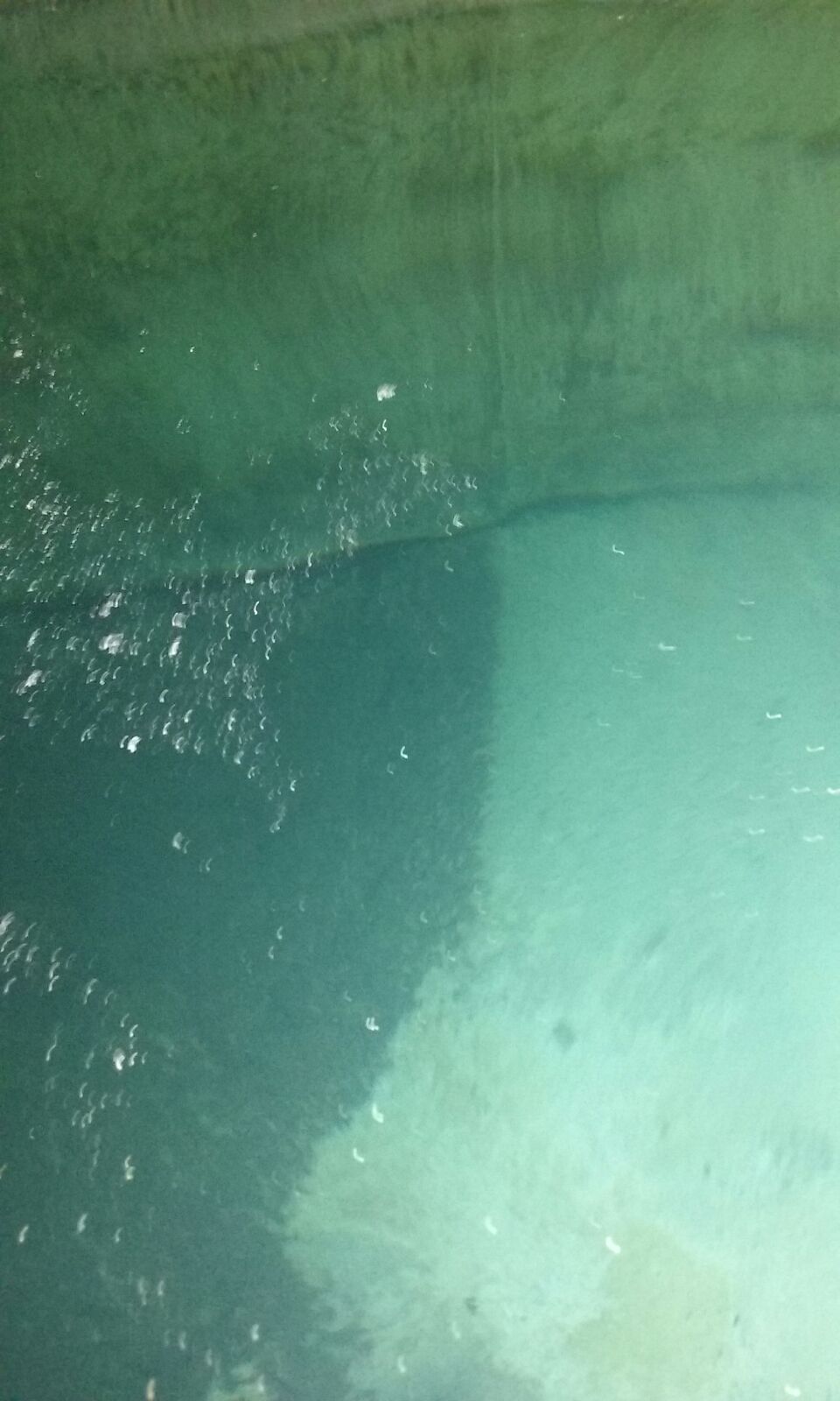 Tank cleaning photos
