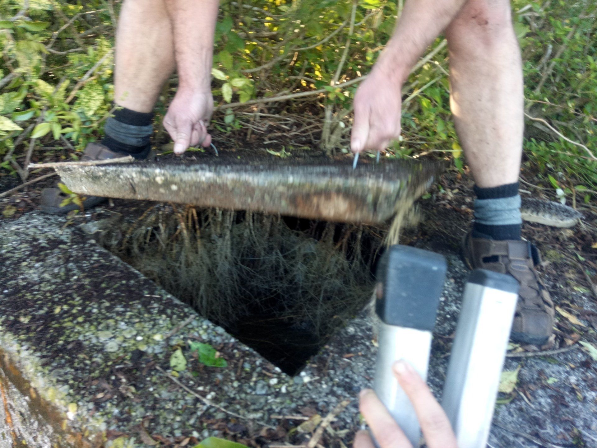 Tree roots can often find their way in to a water tank lifting the lid of a water tank before cleaning, the tree roots had found their way in.