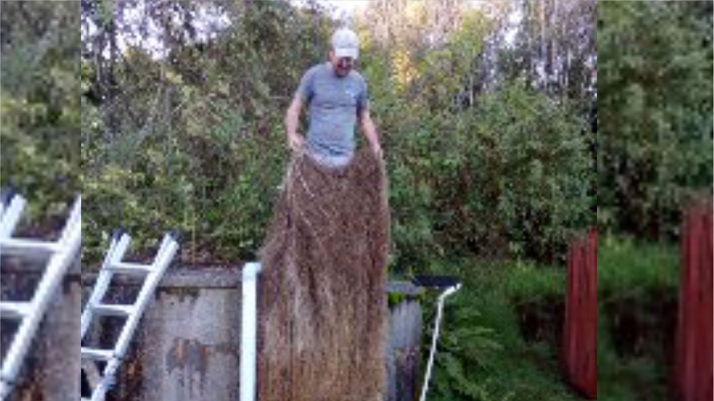 Bush removed from tank
