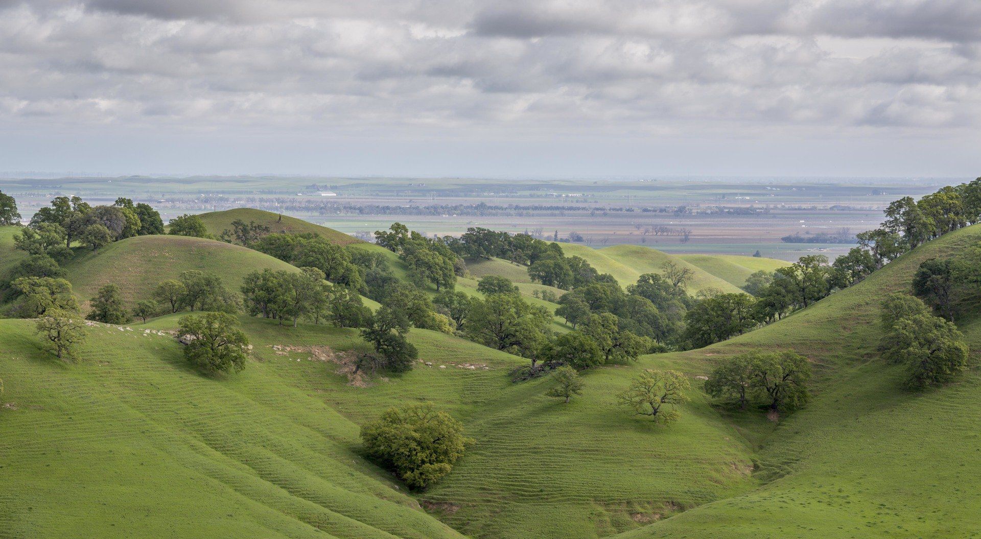Environmental Stewardship Award Program