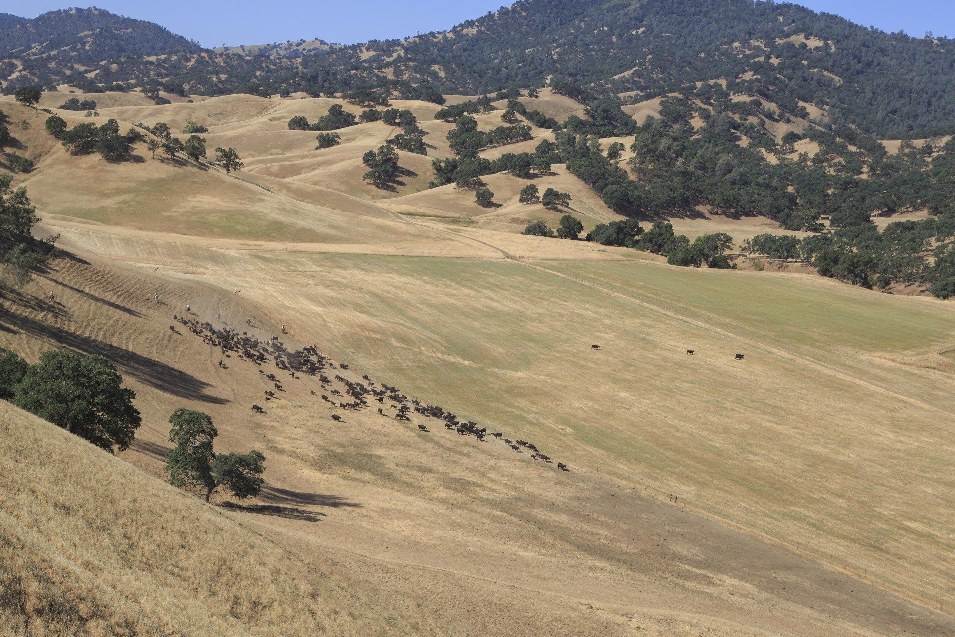 California Filming Location