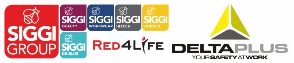 Siggi Group logo