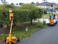 Stump removal equipment