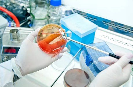 medical-textile-testing