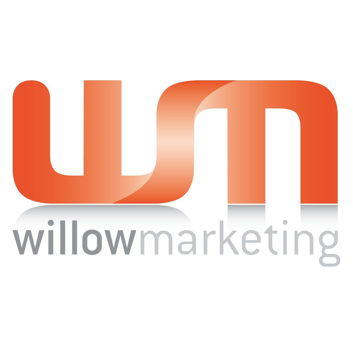 A logo for willow marketing is shown on a white background