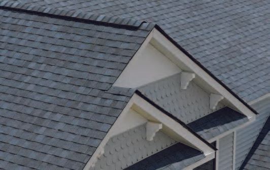 Roofing Maintenance — Blue Roofs in Canton, MI Roofing Maintenance — Blue Roofs in Canton, MI