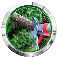 tree removal cost